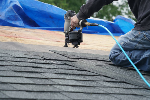 Professional Roofing Contractor in Petal, MS